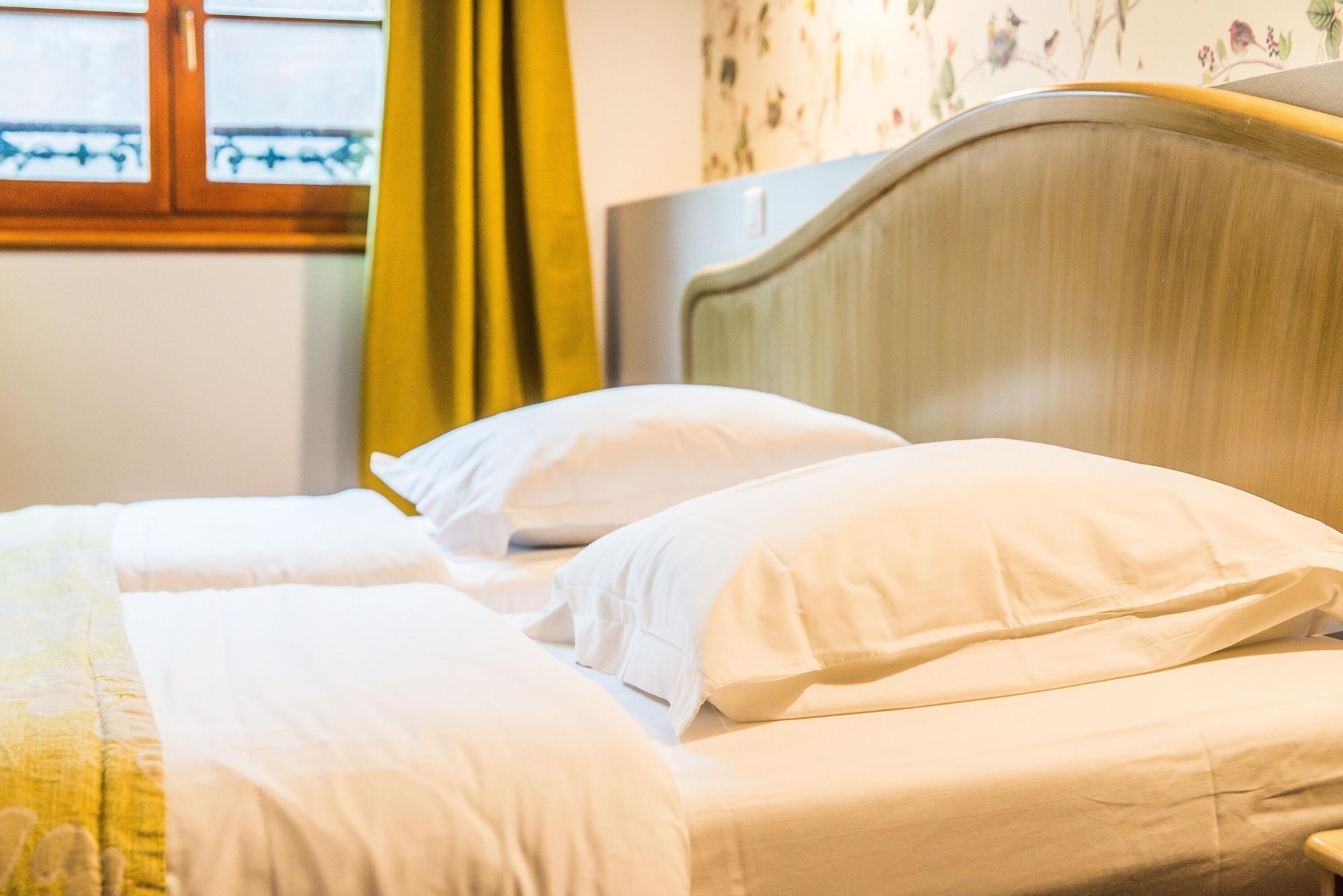 Hotel Au Lion Ribeauville  Ngoại thất bức ảnh